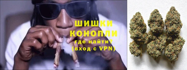 индика Горно-Алтайск
