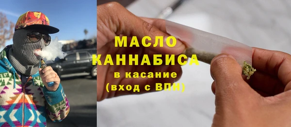 индика Горно-Алтайск