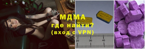 индика Горно-Алтайск