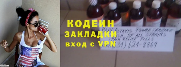 индика Горно-Алтайск