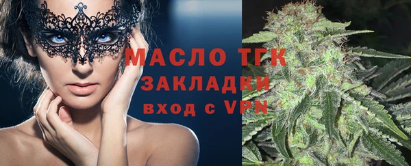 индика Горно-Алтайск