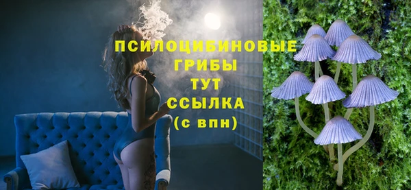 индика Горно-Алтайск