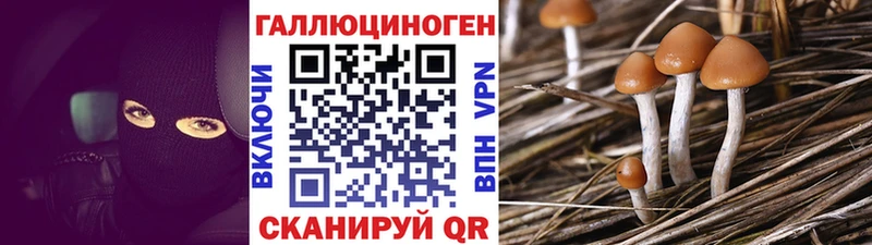 Псилоцибиновые грибы мицелий  ОМГ ОМГ онион  Мценск 
